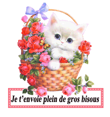 je t'envoie plein de gros bisous